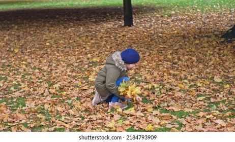 Creative Young Caucasian Girl Preparing Autumn Bouquet Of Withered Yellow And Golden Leaves For Elementary School Art Project In City Park