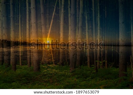 Creatively photographed and subsequently edited forest,Multiple exposure, Wadden Sea discreet in the background