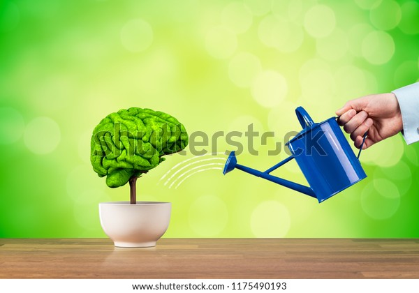 Croissance de la créativité, meilleure utilisation de la fonction cérébrale et du concept d'amélioration de la mémoire. La croissance de la créativité représentée par un arbre ressemble au cerveau humain arrosé par un homme d'affaires.