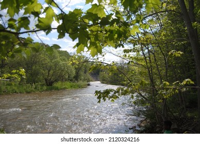 Credit River In Mississauga At Burnhampthorpe Road