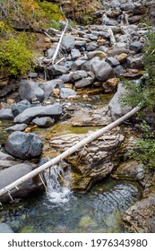 Creek In 2003 Forest Fire Area  Glacier National Park Montana