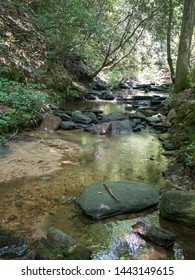 The Creek Above The Second Falls At Wildcat Falls.