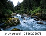 Creek of Adamello Brenta Natural Park. Dolomiti di Brenta, Madonna di Campiglio, Pinzolo, Trento, Trentino Alto Adige, Italy.