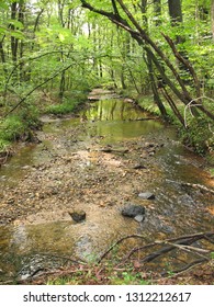 Creek Along The Appalachian Trail In Pennsylvania