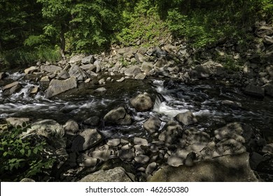 Creek Banks Of A Park In Montgomery County PA