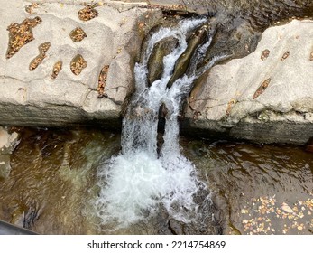 Creek In Chautauqua County, New York