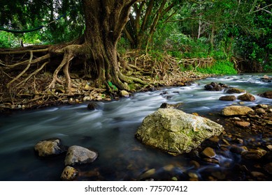 Creek At Currumbin Rock Pools