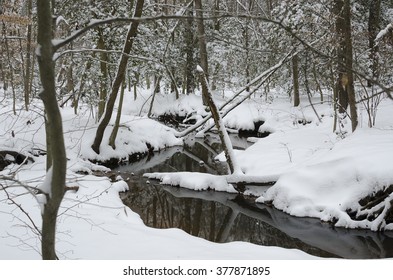 Creek during February snow storm. 