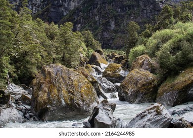 Creek Floating Down From Mount Aspiring