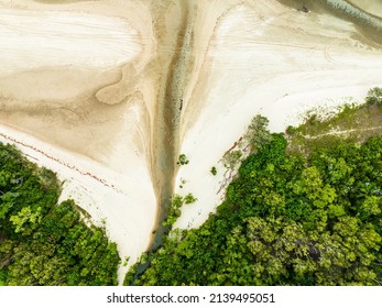 A Creek Flowing Into Bushland At Low Tide. Overhead Aerial Of The Beach And Trees.