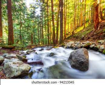 Creek Flowing Through Pacific Northwest Forest