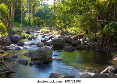 Creek In Gold Coast, Hinterland. Queensland.