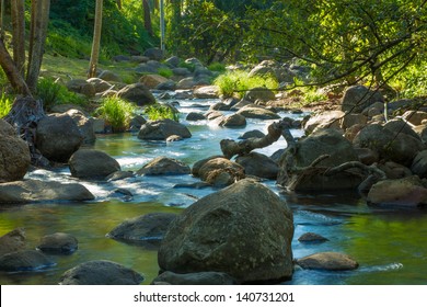 Creek In Gold Coast, Hinterland. Queensland.