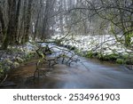 creek in green forest slow shutterspeed a dreamy look