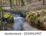 creek in green forest slow shutterspeed a dreamy look