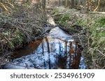 creek in green forest slow shutterspeed a dreamy look