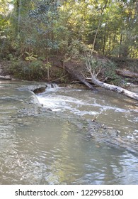 Creek In Kisatchie National Forest 