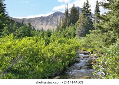 Creek near Pipestone Mountain, Banff National Park