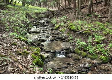 Creek In Northeastern Pennsylvania, USA