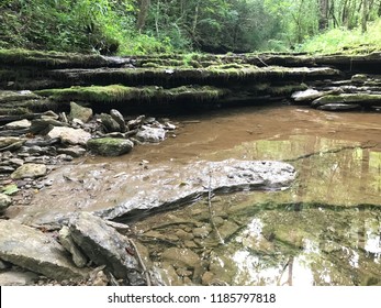 Creek, On Kentucky Mountain Bike Trail. Versailles, Ky. Moss Growth.