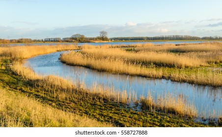 De biesbosch national park Images, Stock Photos & Vectors | Shutterstock