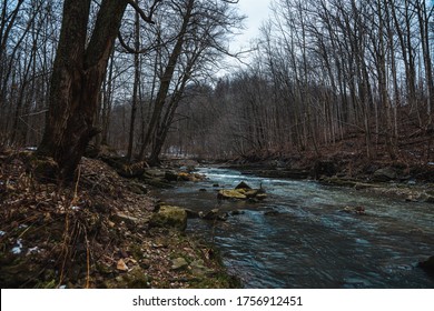 A Creek Runs Along The Haunted Albion Forest Trail.