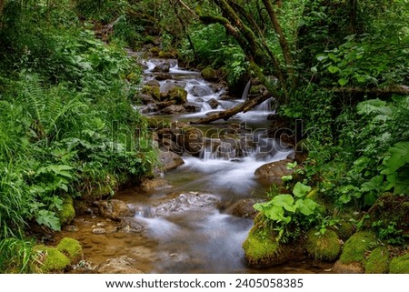 Similar – Image, Stock Photo River trough forest