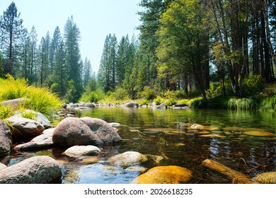 Creek Stream With Rock And Tree Next To Wawona Camp In Yosemite.