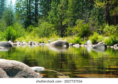 Creek Stream With Rock And Tree Next To Wawona Camp In Yosemite.