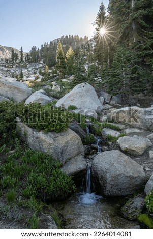 Creek and Sunburst in Sequoia National Park below Alta Peak