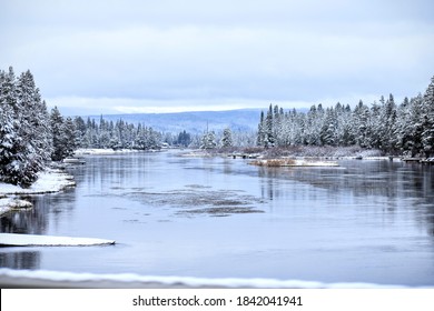 Creek through a Montana clearing - Powered by Shutterstock