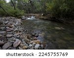 Creek water flows along rocky bank of Idlewilde Campground in Cave Creek Canyon, Coronado National Forest, Arizona, United States