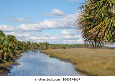 Creek In Wetland Expanse Of St. Marks National Wildlife Refuge Along The Gulf Coast Of Northern Florida, For Motifs Of Conservation And The Environment