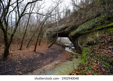 Creelsboro Natural Bridge In Kentucky