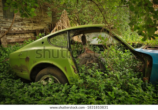 Creepy abandoned car\
overgrown with plants.