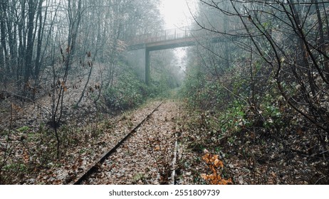 Creepy and abandoned railway tracks in a misty forest - Powered by Shutterstock