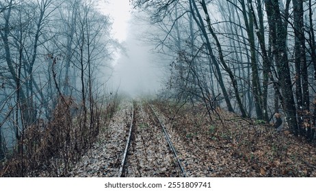 Creepy and abandoned railway tracks in a misty forest - Powered by Shutterstock