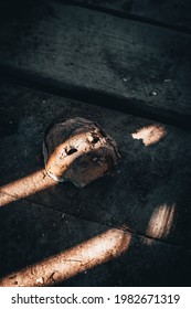 Creepy Baby Doll, Abandoned In A Old Farm Shed. 