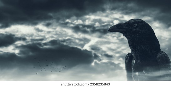 Creepy black crow and dark cloudy sky, copy space