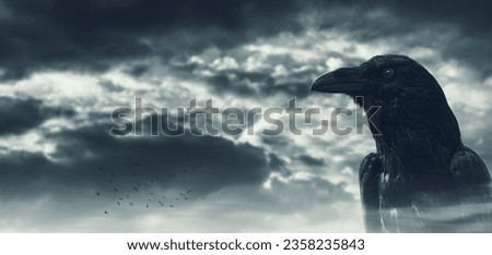 Creepy black crow and dark cloudy sky, copy space [[stock_photo]] © 