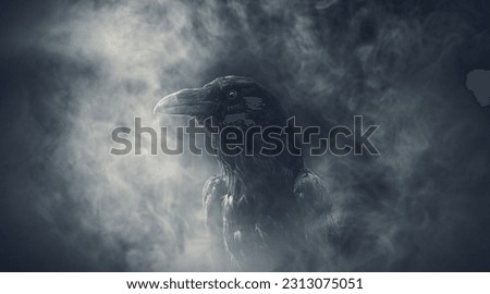 Creepy black crow surrounded by fog, horror and Halloween concept