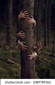 Creepy Conceptual Hands Grabbing Tree In Horror Forest 