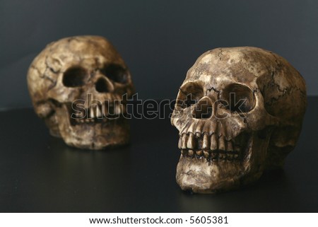 Creepy Couple:  Two skulls on a black background.  Focus on front skull.  Nice halloween image or medical/science concept shot.