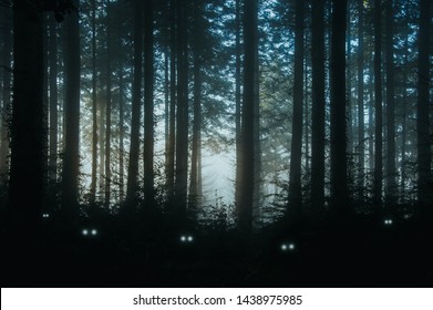 A creepy, fantasy forest of pine trees, back lighted with spooky, glowing eyes of creatures in the undergrowth. - Powered by Shutterstock