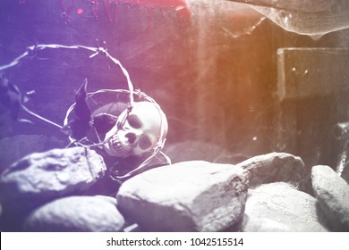 Creepy helloween styled composition   Vivid neo light halloween evil human scary skull lot rocks   stones   Concept dangerous image   thriller movies mortal places   dying idea   