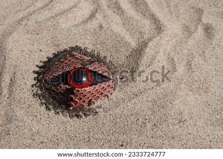 Creepy horror red reptile eye peeking looking descovery scene in the sand at the beach for fun halloween event party ghost game and storytelling
