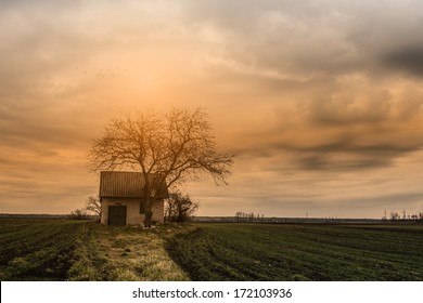 Creepy House In The Middle Of Nowhere