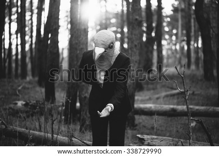 Image, Stock Photo Woman opening arms while enjoys nature in a tree forest.