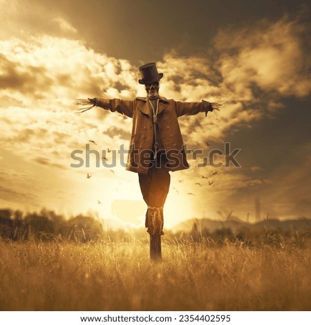 Creepy scarecrow with skull head in the fields at sunset, horror concept