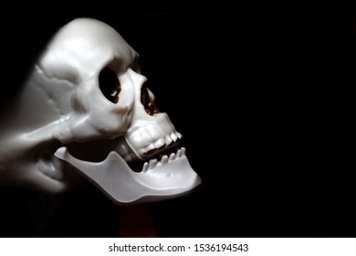 Creepy Smiling Skeleton Skull Close Up On Black Background With Copy Space, Death And Mystery Concept, Halloween.